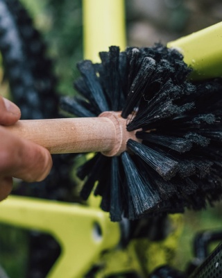 Peaty's Bog Brush